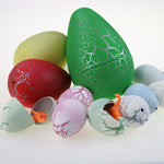 Growing Dinosaur Eggs