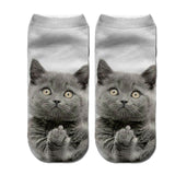 animal Cute 3D Print Socks